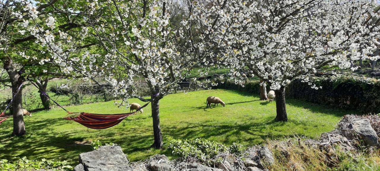 Rectoral De Anllo Otel Sober Dış mekan fotoğraf